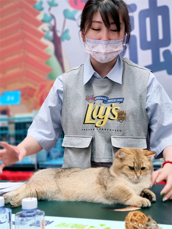 yl6809永利(集团)有限公司官网