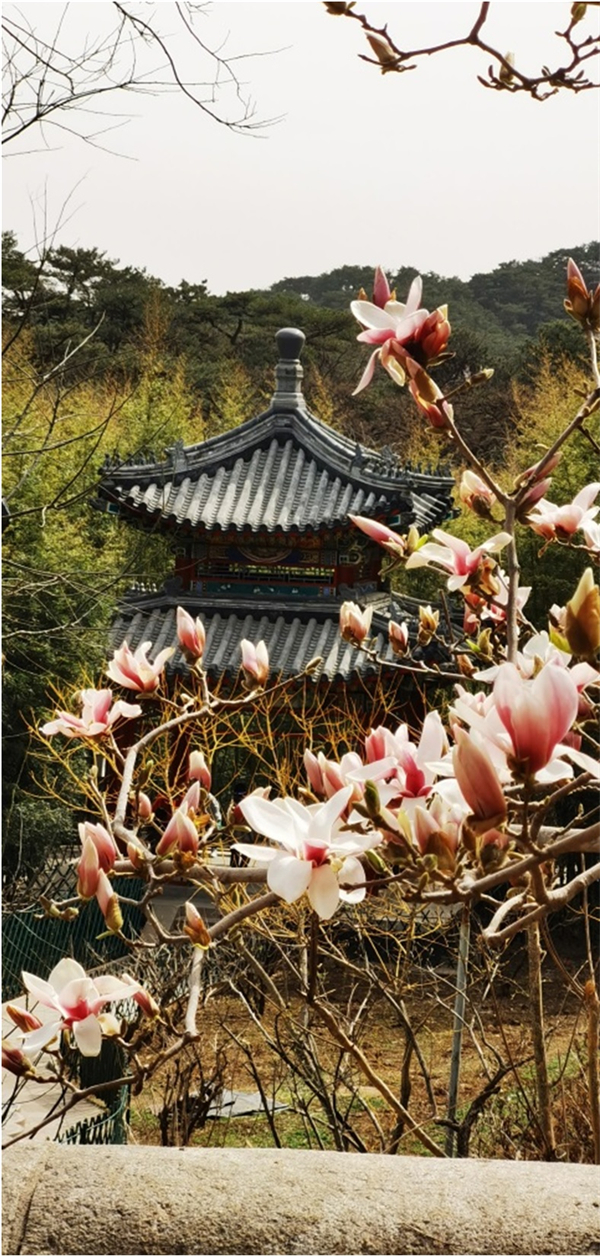 yl6809永利(集团)有限公司官网