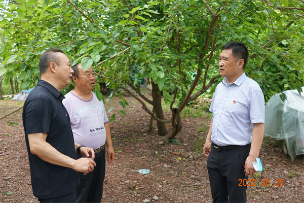 yl6809永利(集团)有限公司官网